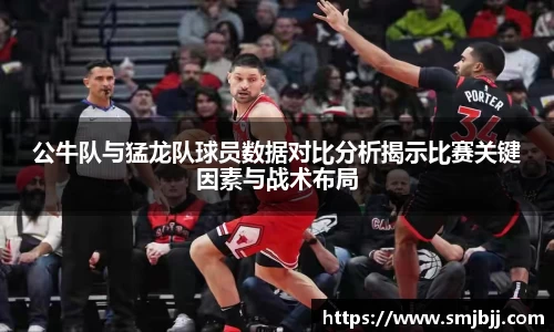 公牛队与猛龙队球员数据对比分析揭示比赛关键因素与战术布局