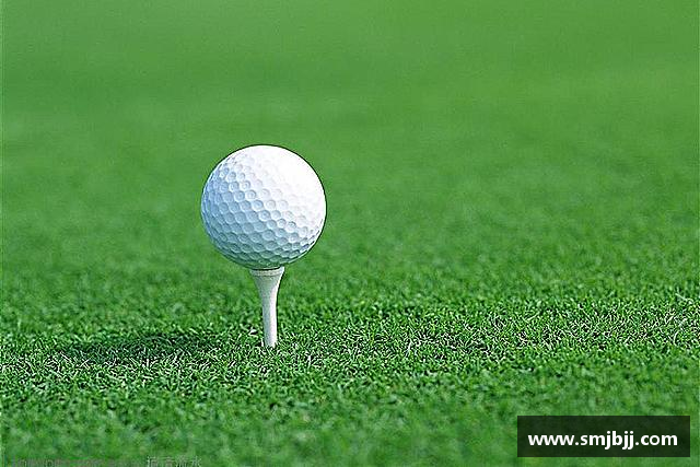 发现xingkong体育